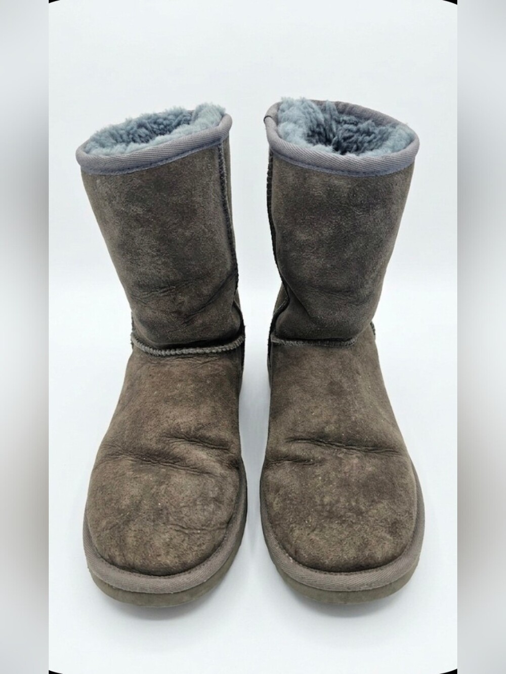 UGG Women's Classic Mini II Winter Boot. Rare, Dried Oregano. 6